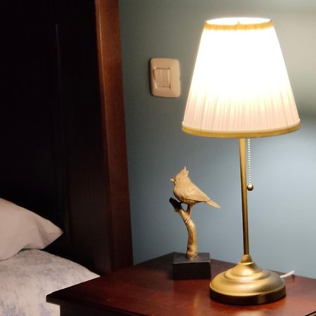 Quinta Padre Lobo Guest House ซังตามาเรีย ดา เฟย์รา ภายนอก รูปภาพ