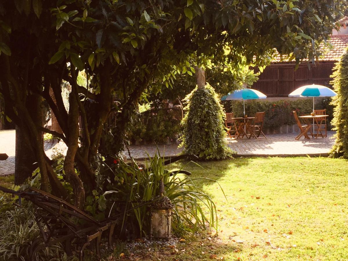 Quinta Padre Lobo Guest House ซังตามาเรีย ดา เฟย์รา ภายนอก รูปภาพ