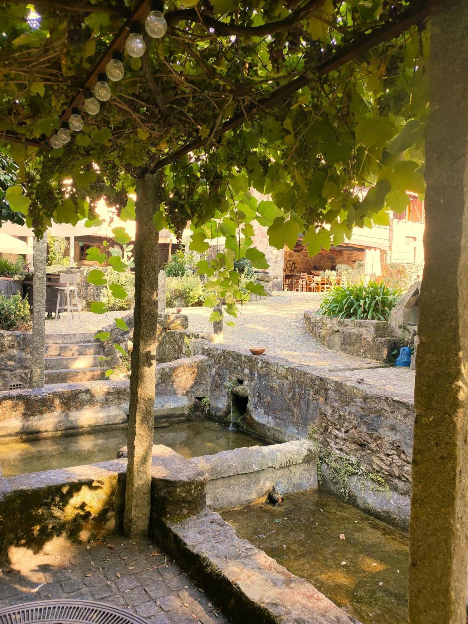 Quinta Padre Lobo Guest House ซังตามาเรีย ดา เฟย์รา ภายนอก รูปภาพ